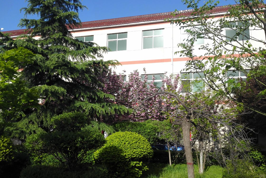 <span style='color:red'>东道路面</span>办公环境