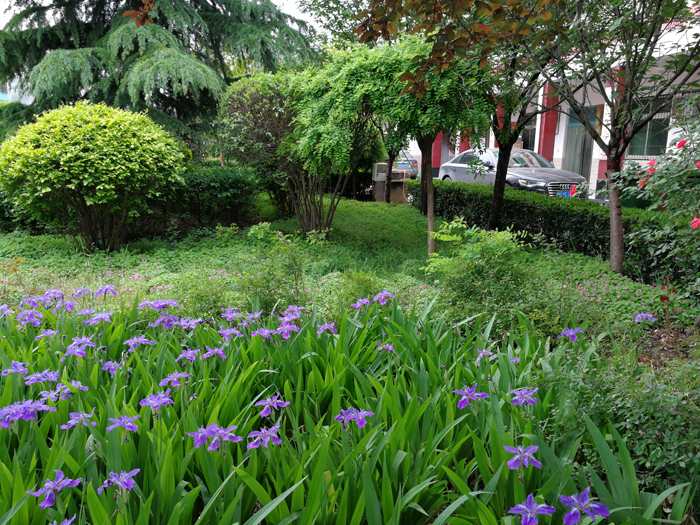 <span style='color:red'>东道路面</span>一角