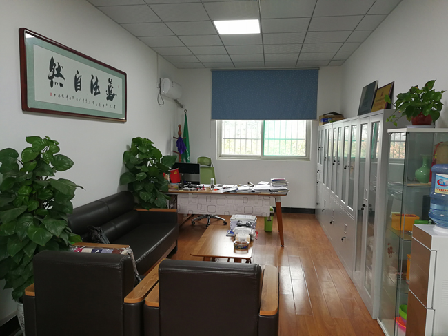 <span style='color:red'>东道路面</span>办公室