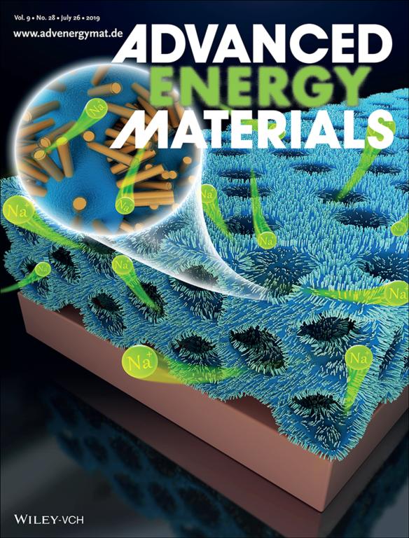 长安大学材料学院樊小勇教授科研成果荣登《Advanced Energy Materials》封面